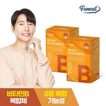 퍼니트 메리트비 비타민B 컴플렉스 활력비타민 2박스 (4개월분)