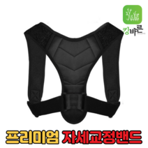 킹바른 자세교정밴드 남녀공용 프리사이즈 등자세 허리자세 여성 남성 남자 여자 목 어깨 자세교정기구 새가슴 굽은어깨 목어깨 말린어깨 굽은등펴기 라운드숄더 거북목 일자목 교정기, 킹바른라이트핏밴드 2개