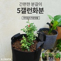 부직포 화분 식물 고구마 키우기 5갤런 30x25 블루베리 감자 고구마 모종 키우기 베란다 텃밭 흙 담기 화분, 1화분5갤런-블랙