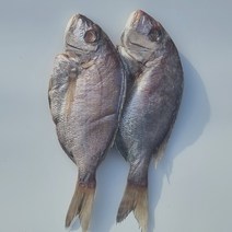 [반건조] 국산 목포 참돔 저염 손질 (2미)