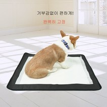 1+1 강아지 배변보조패드 양면방수 고정 논슬립매트 배변판 배변매트 소형견 대형견 특대형, L 62×70cm 1개