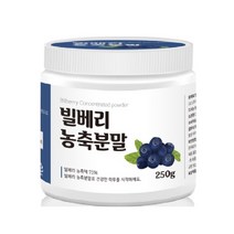 참좋은데이 빌베리 농축 분말 가루 야생블루베리 오스트리아산 효능 250g