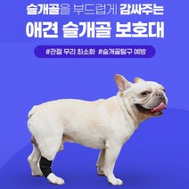 강아지 슬개골 보호대 무릎 다리 반려견 깁스 절뚝 삠 관절 탈구 애완견 애견 아대 노령견, 상품선택, 1애견슬개골보호대-S