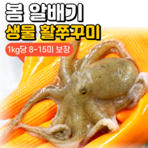[당일조업] 안군수산 서해안 봄 생물 활 알배기 쭈꾸미 500g 1kg, 3. 생물 활 쭈꾸미 3kg (18~36미)