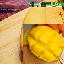태국 남독마이 골드망고 2.5kg 5kg 골드 망고 골드 무지개 망고 태국 망고 선물세트, 골드망고 5kg