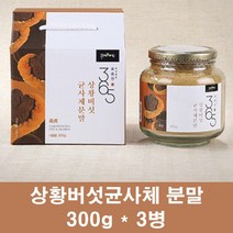 상황버섯균사체 100% 국산 상황버섯 추출물 분말 가루 상황버섯차 목질진흙버섯 뽕나무상황버섯 베타글루칸 효소 효능 선물, 3병, 300g