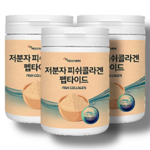 꿀피부 저분자피쉬콜라겐 펩타이드 분말 관절연골 항산화 순수한콜라겐 대용량 50대 갱년기 60대, 저분자피쉬콜라겐x2통