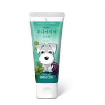 제니튼 주니어 치약 민트향, 26개, 60g