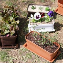 ohnew 아파트베란다화분 직사각형화분 플라스틱화분 옥상화분 도로 수경 로비, 다크브라운