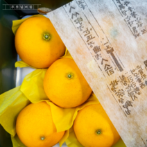 [백화점납품] 제주 고당도 한라봉 천혜향 접목 새콤달콤 황금향, 선물용 5kg (17-25과)