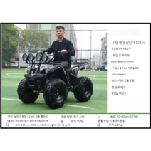 사륜 오프로드 오토바이 바이크 농업용 사발이 산악, 리틀 불 패키지 2