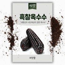 흑찰옥수수 씨앗 (30g), 1개