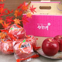 [산들네] 세척사과 3kg 16~17과내, 상세 설명 참조