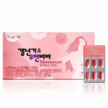 회화나무 열매 추출 감마리놀렌산 갱년기 우먼비바 비타민A 비타민E 비타민B6 비타민D 셀레늄 보라지종자유 석류농축분말 저분자피쉬콜라겐 오미자추출분말 산삼배양근분말, 120캡슐*2박스, 120정