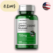뉴질랜드 초록홍합 초록입홍합 Greenlippedmussel 효능 120정, 1개, 120개