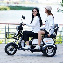 부모님 아버지 전기 삼륜차 가정용 소형 스쿠터 삼륜 3륜바이크 농업용전동차 로얄알로이 3발, 48V, 600W 48V13AH 납산M