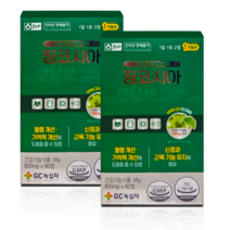 프리미엄 혈행케어 징코시아 120정 (은행잎 추출물), 1개