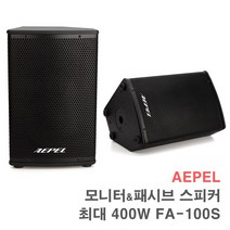 FA-100S 최대 400W-패시브 모니터 스피커 공연 행사용