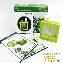 오피스안 YES-KIT_식물의DNA추출[1인용], 단품
