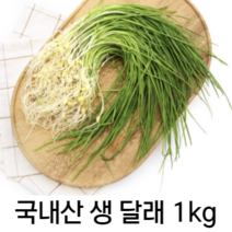 국내산 당일 채취 손질된 생 달래나물 1kg 2kg 3kg 당일 공정 싱싱하고 깨끗한 국산 봄 나물 달래 제철 채소 사계절 반찬 찹찹이 흙 생 달래 무침 달래 양념장 달래장, 1개