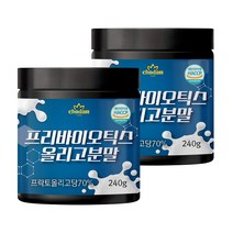 초담식품 프리바이오틱스 올리고 분말 240g, 2개