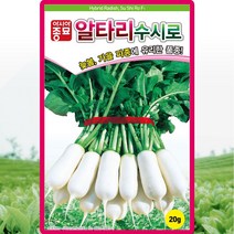 수시로 알타리 무 씨앗 알타리 무우 씨 종자 20g