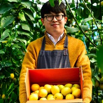 국산 제주레몬 3kg 5kg 10kg 레몬청 레몬에이드 레몬밤 레몬즙 레몬수