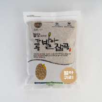 혈당 내리는 감동 발아 잡곡 발아귀리 1kg 당뇨에 좋은 다이어트 잡곡 국내산 소포장, 1개