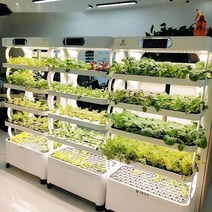 스마트팜 식물 재배기 가정용 인공 재배 인큐베이터, 하얀색, 1개