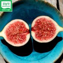 산지직송 무농약 친환경 생 무화과 1kg 2kg, 무농약 무화과 1kg, 1개