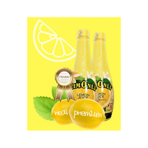 레몬디톡스 레몬 과즙 쥬스 100% 레몬착즙 500ml, 레몬즙500ml