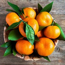 하우스감귤 새콤달콤한 제주귤농장 고당도 금귤 달콤한 밀감, 하우스 감귤 2kg 꼬마(2S 미만)