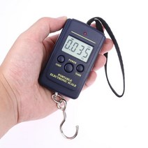 휴대용 미니 디지털 포켓 저울 40kg /10g 걸이형 전자 낚시 수하물 주방 후크, 중국