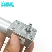 웜기어 감속기 모터 Bringmart JGY-2430 브러시리스 12 볼트 24V DC 웜 기어 모터 자동 잠금 가역 브레이크, 12 24V 23rpm