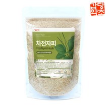 갑당약초 차전자피 (질경이씨앗껍질) 300g, 1팩
