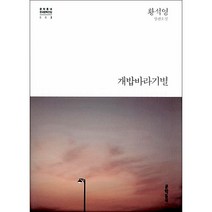 개밥바라기별 양장본, 문학동네, 글: 황석영