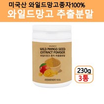 미국산 와일드망고분말 와이드망고 종자 추출분말 씨앗 가루 차 파우더 아프리칸망고 랩틴 아디포넥틴 효능 에너데이 230g, 3병