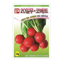 무씨앗 적환무 12g 방울무 20일 무 빠른수확, 상세페이지 참조