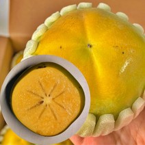 [산지직송] 고당도 아삭달콤 창원 태추단감 햇 배 단감 가정용 흠과 정품 선물용 선물세트 감 2kg 3kg 4kg 5kg, 1박스, 중과 2kg(정품 9과내외)