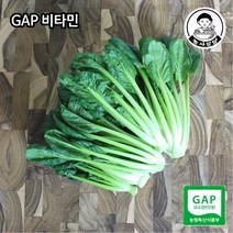 [농사임당] GAP 비타민 샐러드 야채 채소 500g/1kg, 500g