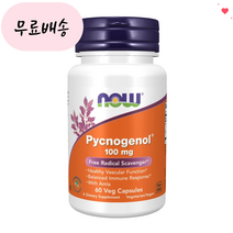 나우푸드 피크노제놀 100mg 약들약 고약사 나우푸땡 프랑스해안송껍질 추출물, 60정, 1개