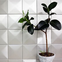 DIY 아트 쿠션타일 작은사각(140x140mm) 양면테프 간단시공 안전푹신 쿠션 방음 단열 인테리어 산뜻, 색상 색상/스칼렛