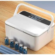 인슐린 냉장고 약품 의약품 보관함 박스 주사 항온, 단일 코어 표준 코어(배터리 2세트 포함)