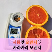 썬키스트 고당도 카라카라 오렌지, 중소과 3kg(15과), 1개