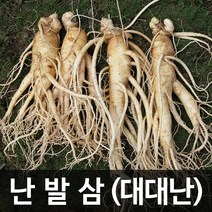 청명네이처 금산인삼 수삼(난발삼) 대대난(750g) (9~10뿌리), 1개, 750g