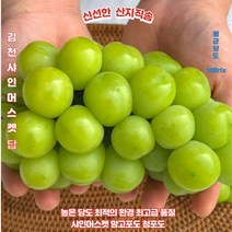 김천 샤인머스켓 망고포도 청포도 선물용1kg 2kg 샹큼 달콤, 상세페이지 참조4, 선물용 좋아요 특품_2kg(2-3송이)