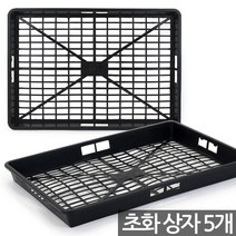 삽목상자 5개 - 육묘상자 포트상자 포트운반 모종운반 트레이 박스 삽목박스 초화박스 육모박스 비닐포트 초화포트 포트, 01_한성_초화상자 X 5개