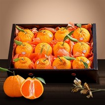 [참다올][신세계TV쇼핑 명절선물]국내최초 생산하는 레드한라봉3kg(9-12과), 01월13일 (목) 출고