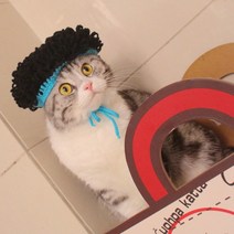 고양이 파마 머리 가발 장식 모자 귀여운 촬영 소품