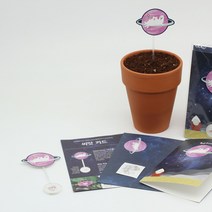 농경생활 파라솔 우주여행 카드 민들레
